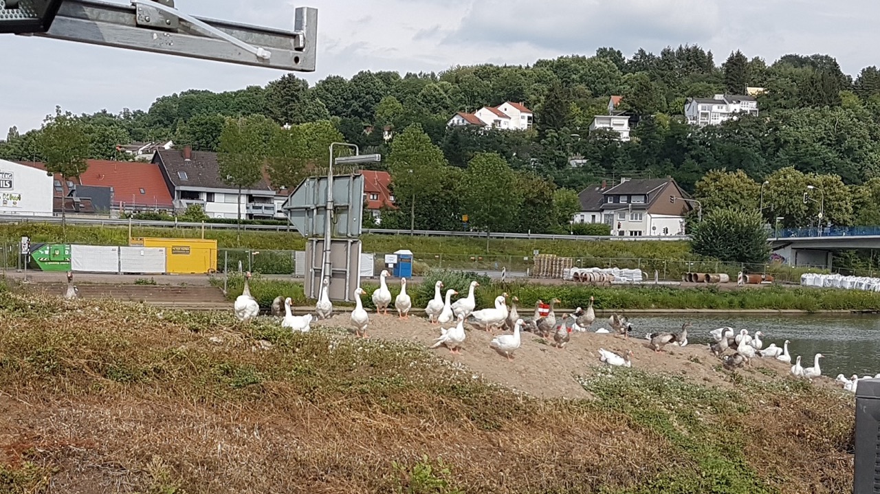 21.07.18 - 17.18.40 - Schleuse Güdingen.jpg